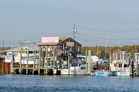 D50_8628