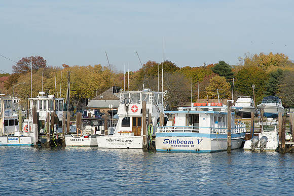 D50_8688