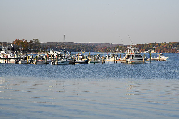 D50_8878