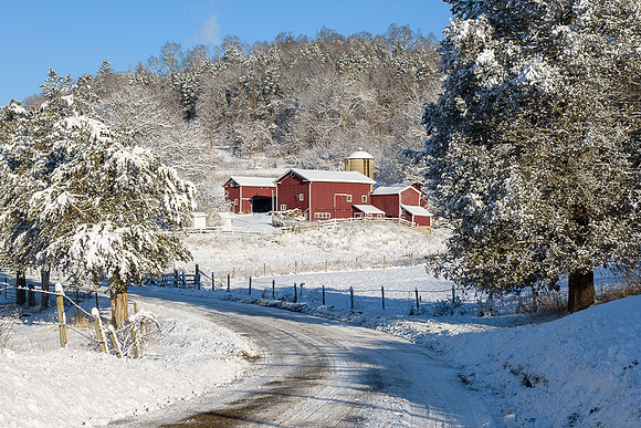 Platt Farm 2.18.18