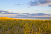 Cape Cod 2025-5444