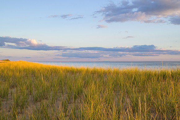 Cape Cod 2025-5444