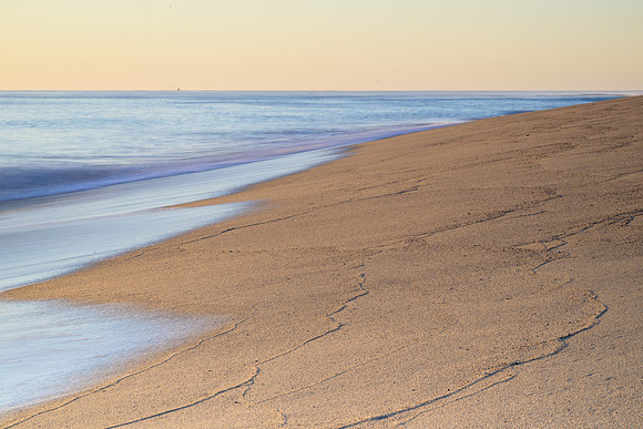 Cape Cod 2025-5931
