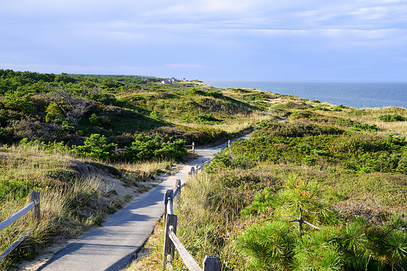 Cape Cod 2025-6830