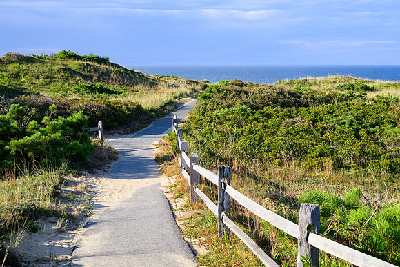 Cape Cod 2025-6838