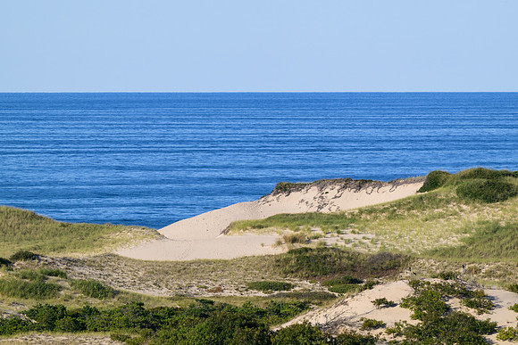 Cape Cod 2025-7436-3