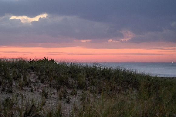 Cape Cod 2025-8331