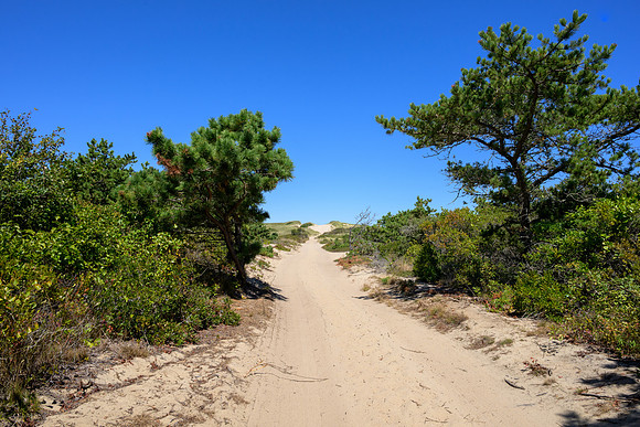 Cape Cod 2025-7132