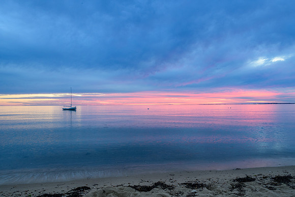 Cape Cod 2025-7803-2