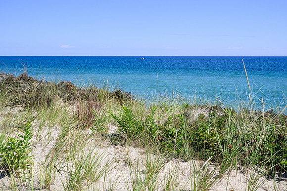 Cape Cod 2025-8013