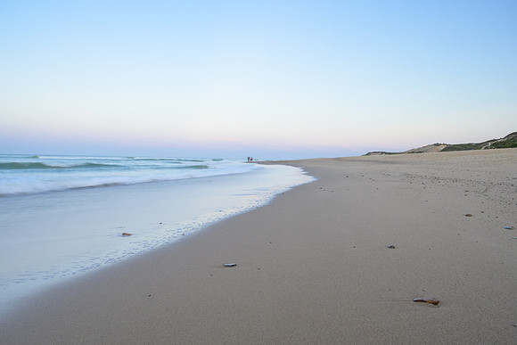 Cape Cod 2025-8146