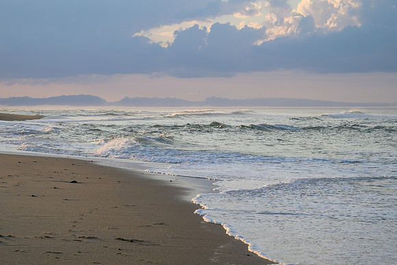 Cape Cod 2025-8084
