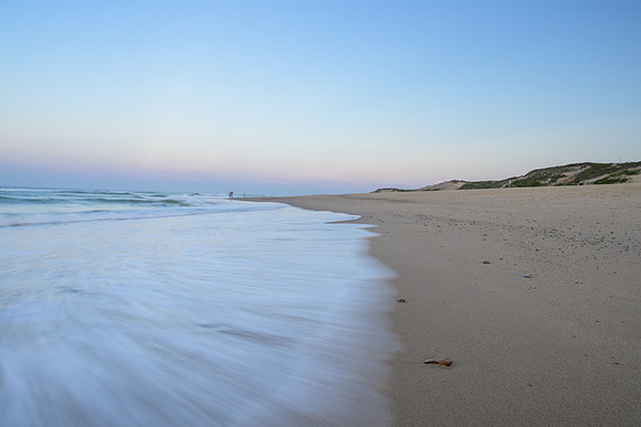 Cape Cod 2025-8159