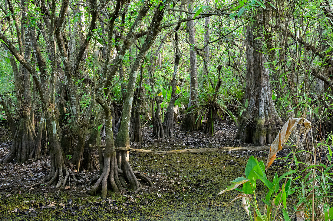 untitled-3752-4
