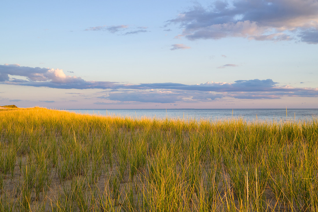 Cape Cod 2025-5444