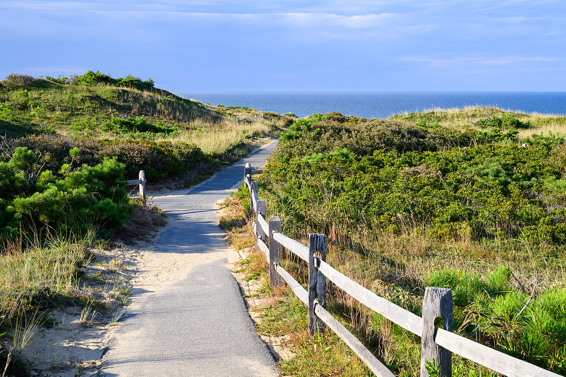 Cape Cod 2025-6838