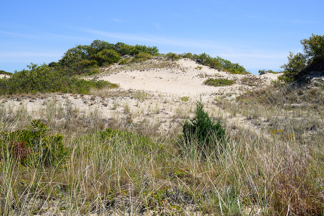 Cape Cod 2025-7121