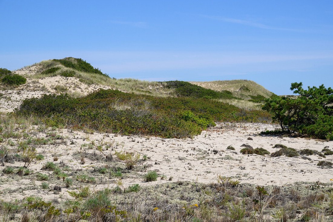 Cape Cod 2025-7150