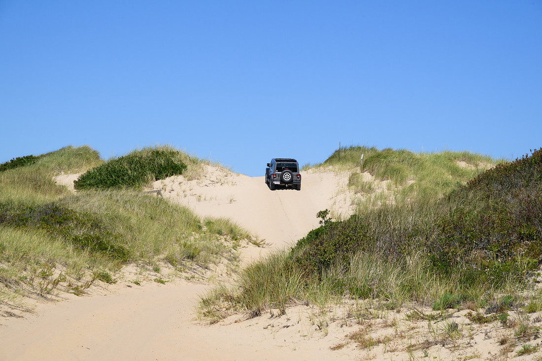 Cape Cod 2025-7159