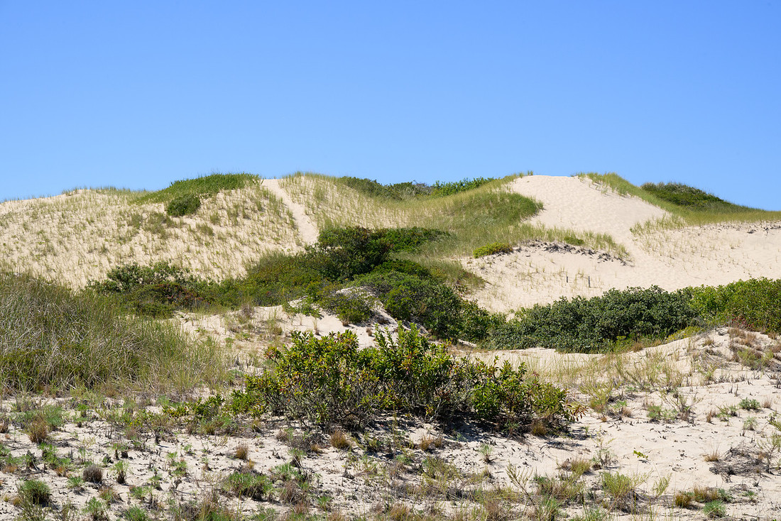 Cape Cod 2025-7185