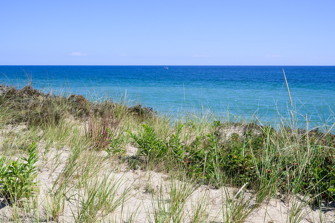 Cape Cod 2025-8013