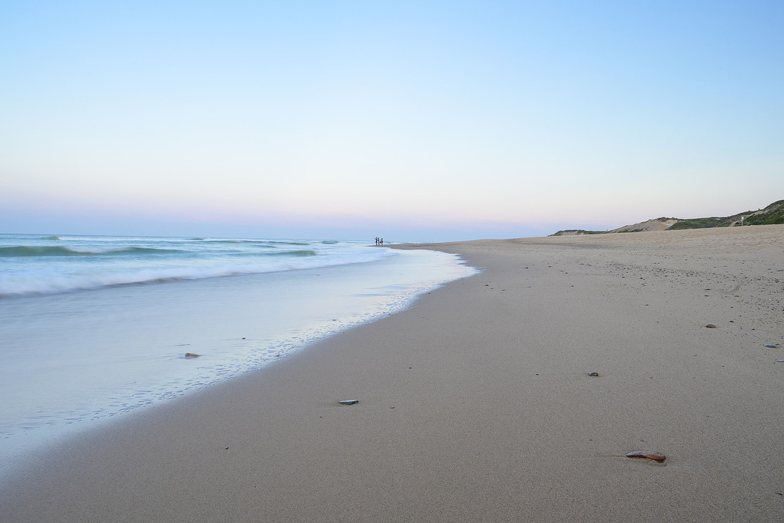 Cape Cod 2025-8146