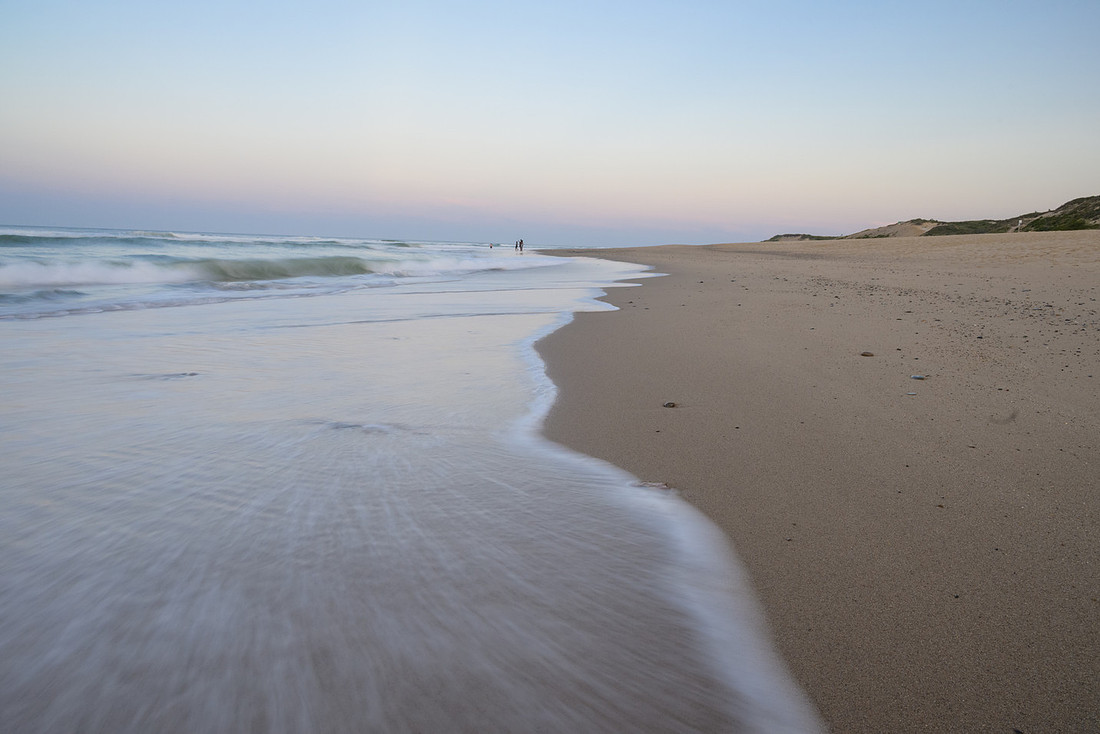 Cape Cod 2025-8170