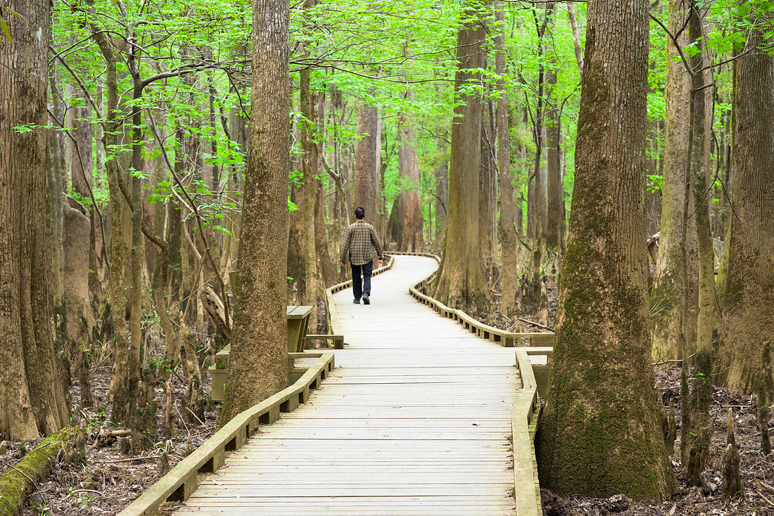 Congaree National Park-18