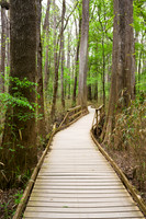 Congaree National Park-15