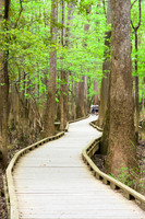 Congaree National Park-16
