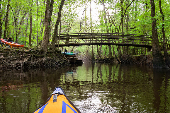 Congaree National Park-25
