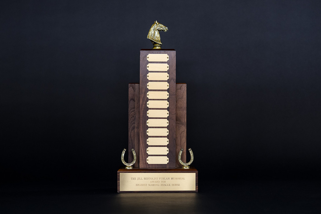 LYDF Trophies-2