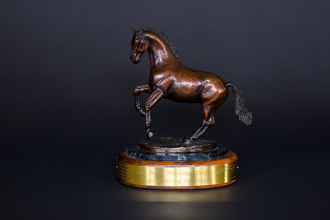 LYDF Trophies-3