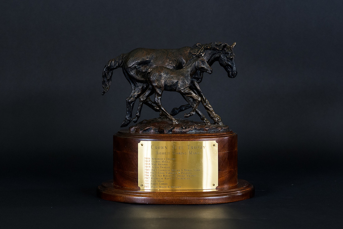 LYDF Trophies-20