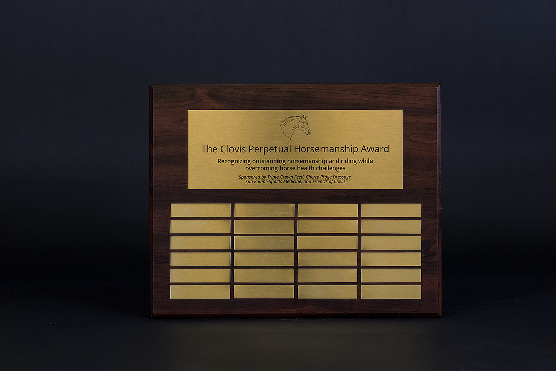 LYDF Trophies-29