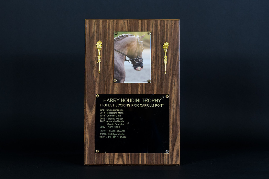 LYDF Trophies-30