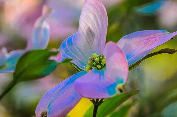 _DSC7602-2-Edit