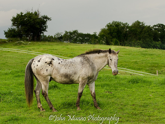 _DSC8732-Edit