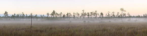 FLORIDA EVERGLADES