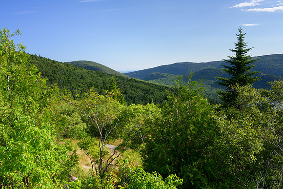 Acadia 7.07.22-892-Edit