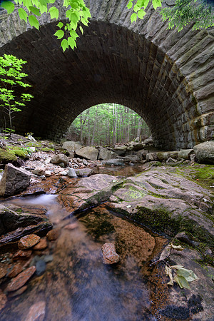 Acadia 7.08.22-375