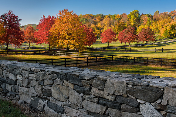 Ridgefield Autumn Farm
