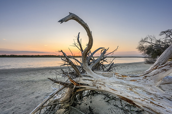 Florida 2023-1143