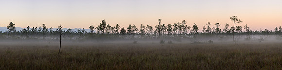 FLORIDA EVERGLADES