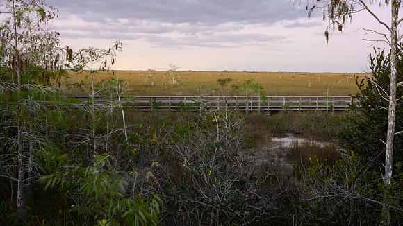 Florida 2023-3847