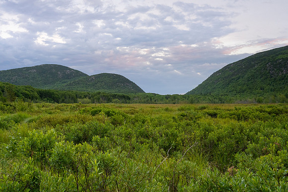 Acadia 7.08.22-533