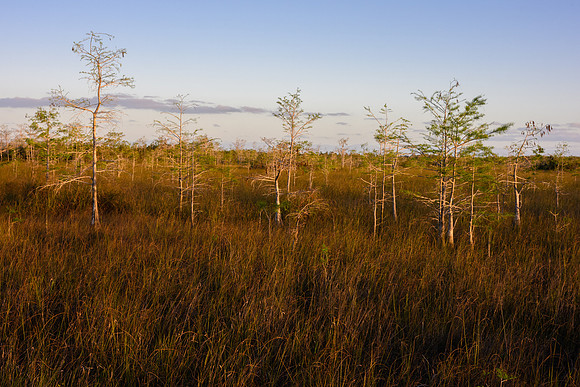 Florida 2023-3538