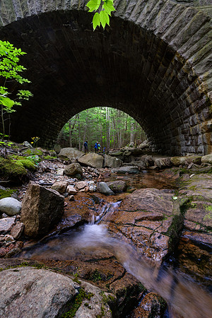 Acadia 7.08.22-301-Edit