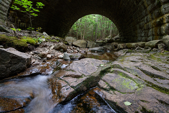 Acadia 7.08.22-399