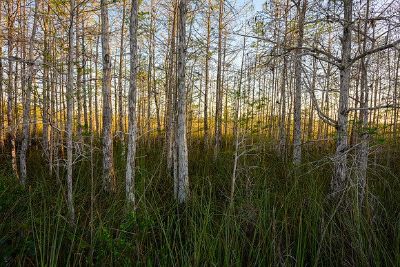 Florida 2023-3528-HDR